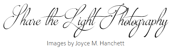 Share The Light Photography
